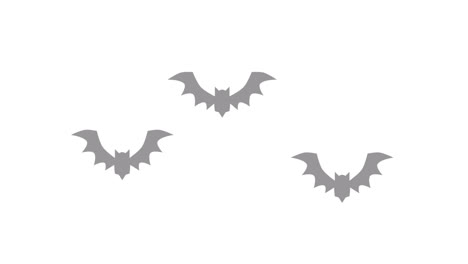 Bat-Transitions.-1080p---30-fps---Alpha-Channel-(6)